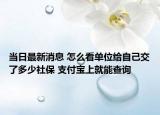 当日最新消息 怎么看单位给自己交了多少社保 支付宝上就能查询