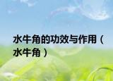 水牛角的功效与作用（水牛角）