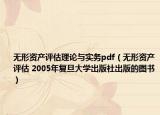 无形资产评估理论与实务pdf（无形资产评估 2005年复旦大学出版社出版的图书）