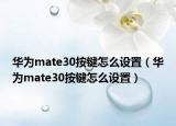 华为mate30按键怎么设置（华为mate30按键怎么设置）