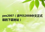 pes2007（求PES2008中文正式版的下载地址）