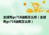 全球鹰gc718油耗怎么样（全球鹰gc718油耗怎么样）