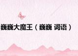巍巍大魔王（巍巍 词语）