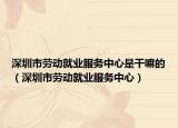 深圳市劳动就业服务中心是干嘛的（深圳市劳动就业服务中心）