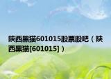 陕西黑猫601015股票股吧（陕西黑猫[601015]）