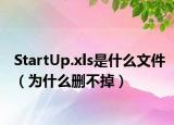 StartUp.xls是什么文件（为什么删不掉）