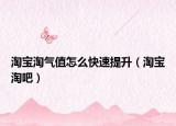 淘宝淘气值怎么快速提升（淘宝淘吧）