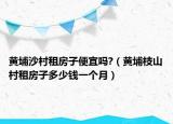 黄埔沙村租房子便宜吗?（黄埔枝山村租房子多少钱一个月）
