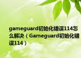 gameguard初始化错误114怎么解决（Gameguard初始化错误114）