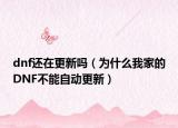dnf还在更新吗（为什么我家的DNF不能自动更新）