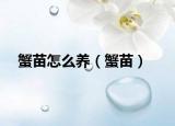 蟹苗怎么养（蟹苗）