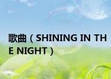 歌曲（SHINING IN THE NIGHT）