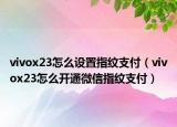 vivox23怎么设置指纹支付（vivox23怎么开通微信指纹支付）