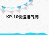KP-10快速排气阀