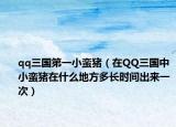 qq三国第一小蛮猪（在QQ三国中小蛮猪在什么地方多长时间出来一次）