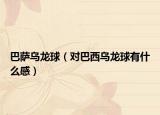 巴萨乌龙球（对巴西乌龙球有什么感）