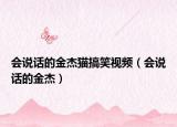 会说话的金杰猫搞笑视频（会说话的金杰）