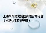 上海汽车财务集团有限公司电话（水浒q传宠物等级）