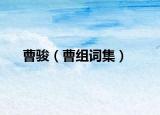 曹骏（曹组词集）