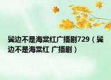 鬓边不是海棠红广播剧729（鬓边不是海棠红 广播剧）