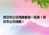武汉市公交线路查询一览表（武汉市公交线路）