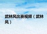 武林风比赛视频（武林风）