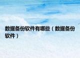 数据备份软件有哪些（数据备份软件）
