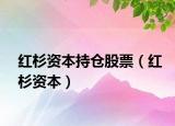 红杉资本持仓股票（红杉资本）
