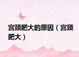 宫颈肥大的原因（宫颈肥大）