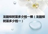 龙脑樟树苗多少钱一棵（龙脑樟树苗多少钱一）