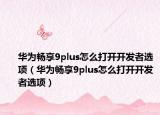 华为畅享9plus怎么打开开发者选项（华为畅享9plus怎么打开开发者选项）