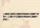 上海滨江森林公园和共青森林公园哪个好玩?（上海大宁公园和共青森林公园哪个好玩）