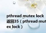 pthread mutex lock 返回35（pthread mutex lock）