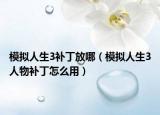 模拟人生3补丁放哪（模拟人生3人物补丁怎么用）