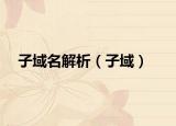 子域名解析（子域）
