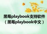 黑莓playbook支持软件（黑莓playbook中文）