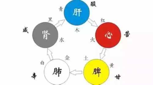 中药五味子是有5种味道吗？