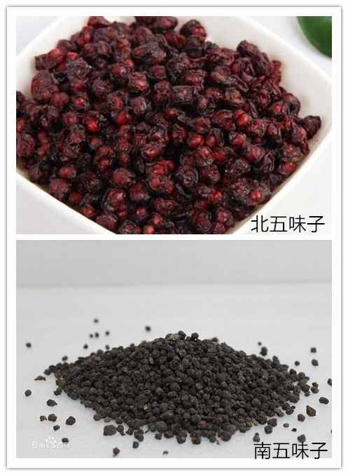 中药五味子是有5种味道吗？