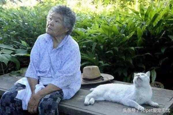 这四个关于人与动物的故事，你可能听过，又或许没有