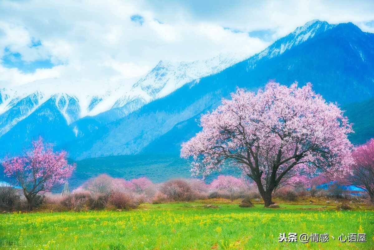 会者定离 一期一祈