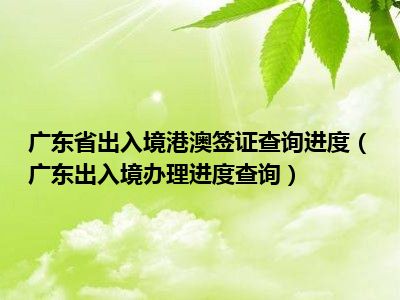 广东省出入境港澳签证查询进度（广东出入境办理进度查询）