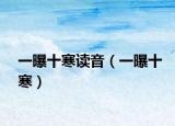 一曝十寒读音（一曝十寒）