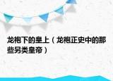 龙袍下的皇上（龙袍正史中的那些另类皇帝）