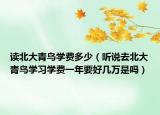 读北大青鸟学费多少（听说去北大青鸟学习学费一年要好几万是吗）