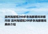 温州海域现200多条海豚嬉戏详细内容 温州海域现200多条海豚嬉戏具体介绍