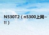 N530T2（n5300上网~!!）