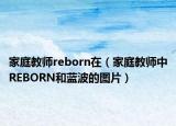 家庭教师reborn在（家庭教师中REBORN和蓝波的图片）