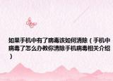 如果手机中有了病毒该如何清除（手机中病毒了怎么办教你清除手机病毒相关介绍）
