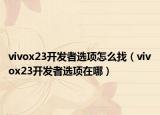vivox23开发者选项怎么找（vivox23开发者选项在哪）