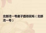 北部湾一号房子值得买吗（北部湾一号）